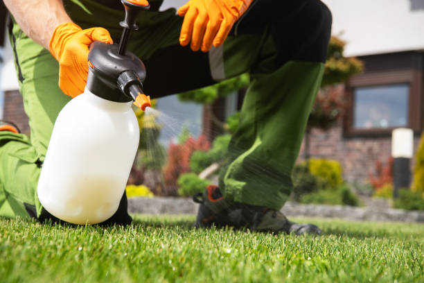 Best Commercial Pest Control Services  in Willmar, MN