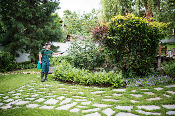 Best Pest Control Near Me  in Willmar, MN
