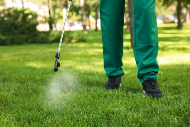 Pest Prevention Services in Willmar, MN