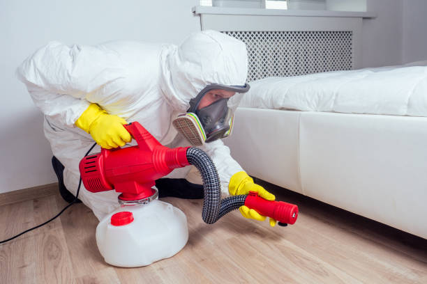 Best Affordable Pest Control Services  in Willmar, MN