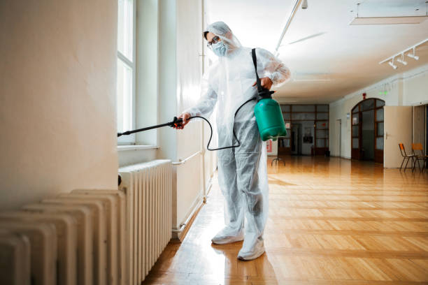Best Flea Control Services  in Willmar, MN