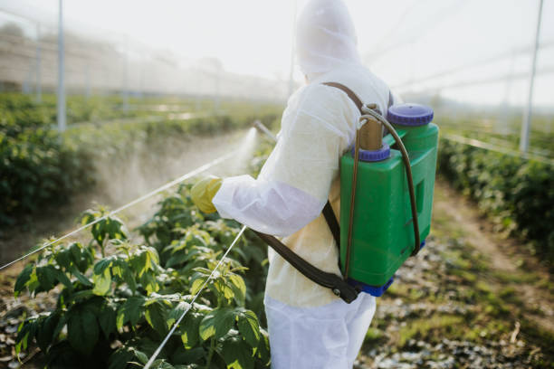 Best Pest Inspection Near Me  in Willmar, MN